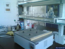 石家莊華宇新銳科技 為保定實驗室提供高品質(zhì)家具與通風柜等配套設(shè)備解決方案